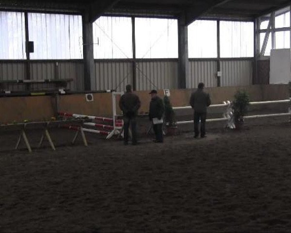 Zuchtstute 30 FS Minden (Hannoveraner, 2009, von Spartan) Zuchtstute 30 FS Minden (Hannoveraner, 2009, von Spartan)