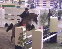 jumper Arivedierci Alex (unknown,  )
