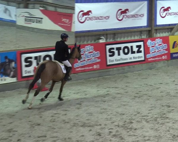 Reitturnier Negernbötel 2020, 6. Nordic Jumping event 2020/2021