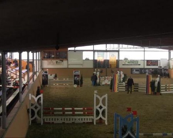 jumper Skanderbeg (Trakehner, 2008, from Beg xx)