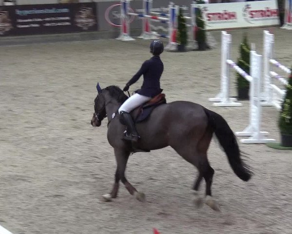 Reitturnier Negernbötel 2020, 6. Nordic Jumping event 2020/2021
