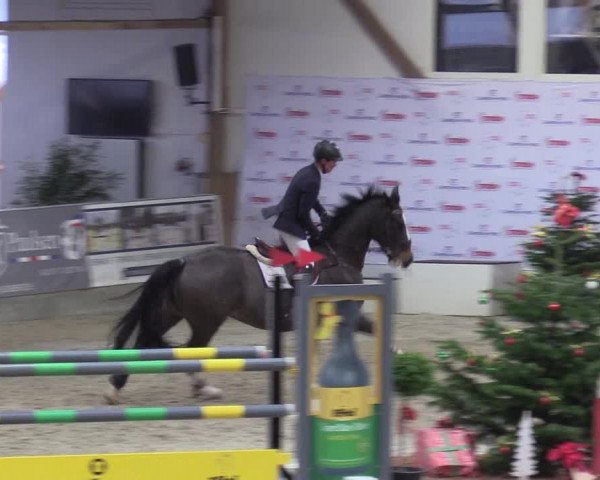 Reitturnier Negernbötel 2020, 6. Nordic Jumping event 2020/2021