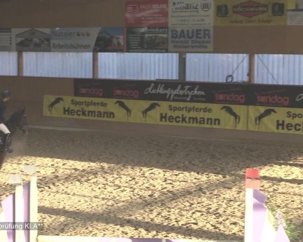 Reitturnier Isterberg 2020