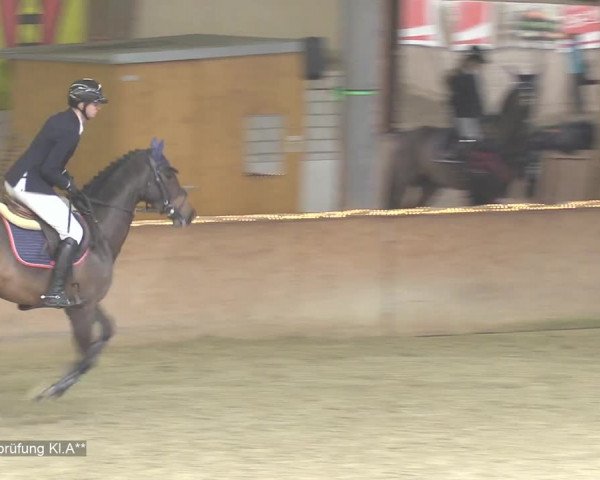 Reitturnier Isterberg 2020