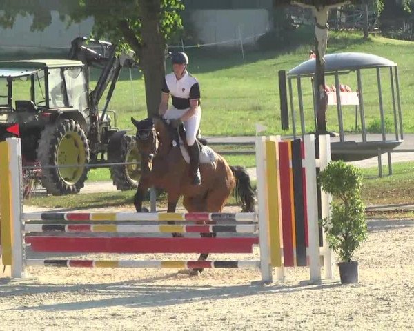 jumper Audemars Piguet (Bavarian, 2008, from Asti Spumante 7) jumper Audemars Piguet (Bavarian, 2008, from Asti Spumante 7)