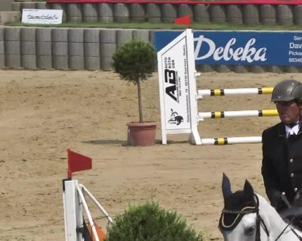 jumper Co Jack 4 (Slovenian Warmblood, 2004, from Corelli)