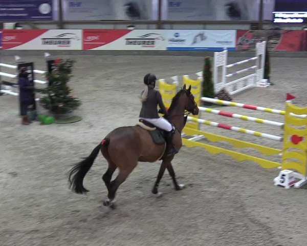 Reitturnier Negernbötel 2020, 6. Nordic Jumping event 2020/2021
