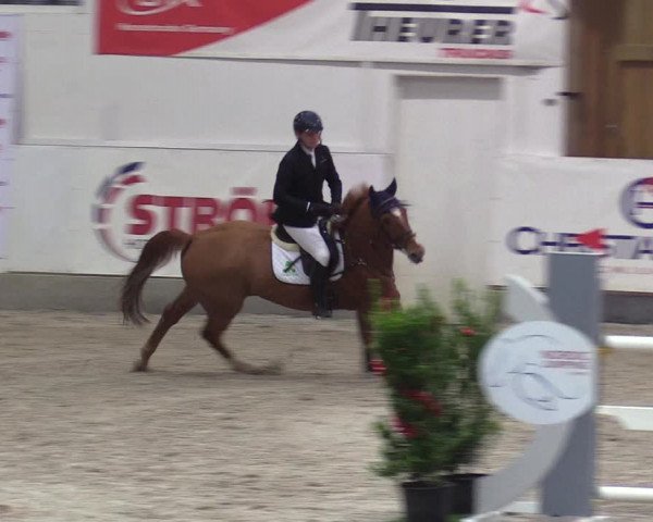 Reitturnier Negernbötel 2020, 6. Nordic Jumping event 2020/2021