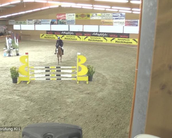Reitturnier Isterberg 2020