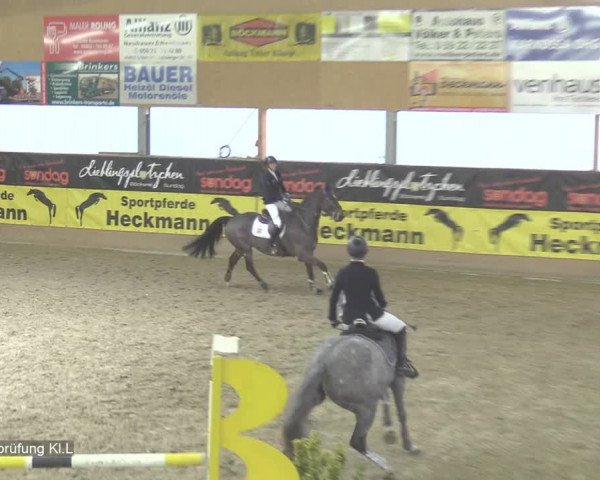 Reitturnier Isterberg 2020