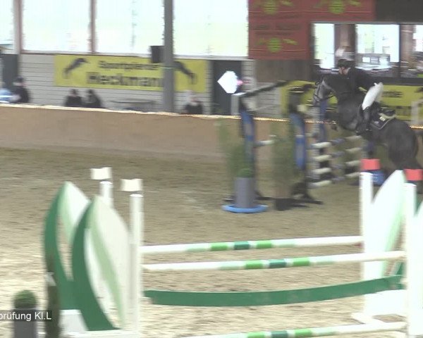 Reitturnier Isterberg 2020