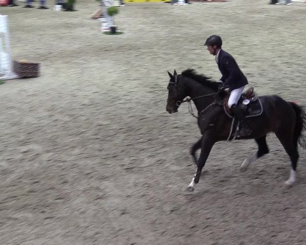Reitturnier Negernbötel 2020, 6. Nordic Jumping event 2020/2021