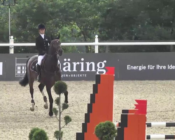 jumper Candido 8 (Oldenburg, 2009, from Canoso)