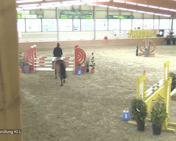 Reitturnier Isterberg 2020