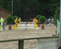 broodmare Qnuutmilla (Hanoverian, 2008, from Quite Capitol)
