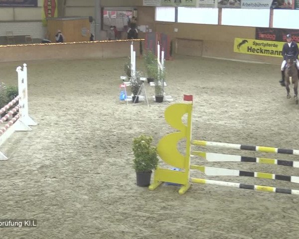 Reitturnier Isterberg 2020