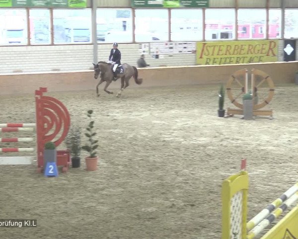 Reitturnier Isterberg 2020