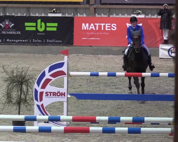 Reitturnier Negernbötel 2020, 6. Nordic Jumping event 2020/2021