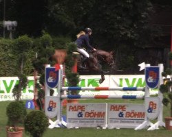 jumper Dazaro (German Riding Pony, 2008, from Don Diabolo NRW)