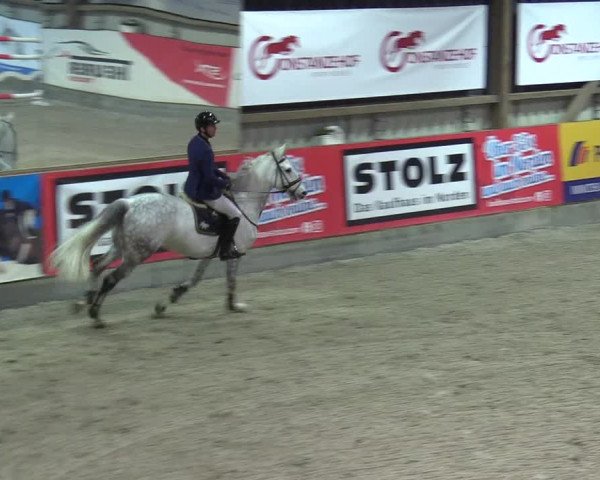 Reitturnier Negernbötel 2020, 6. Nordic Jumping event 2020/2021