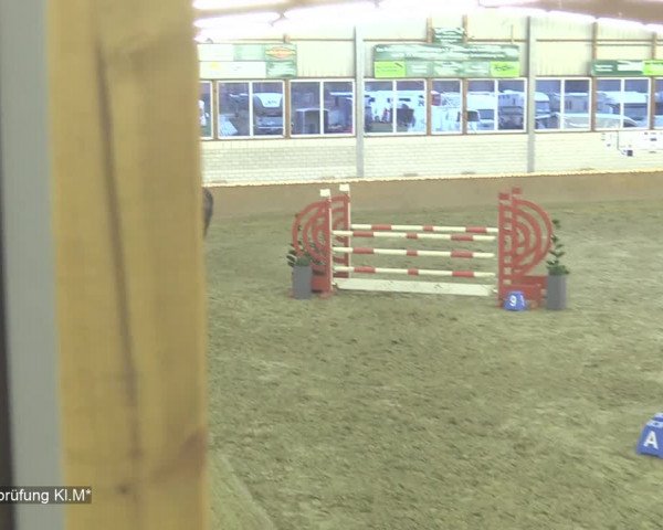 Reitturnier Isterberg 2020