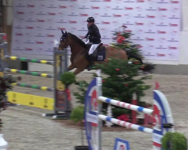 Reitturnier Negernbötel 2020, 6. Nordic Jumping event 2020/2021