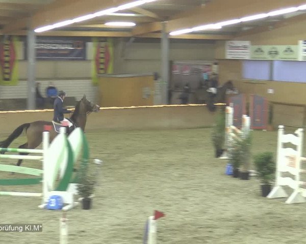 Reitturnier Isterberg 2020