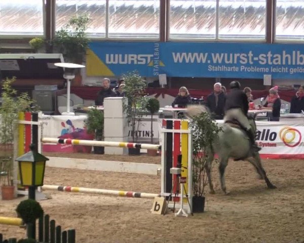 jumper Die Dame 7 (Oldenburg, 2008, from Darc Rouge)