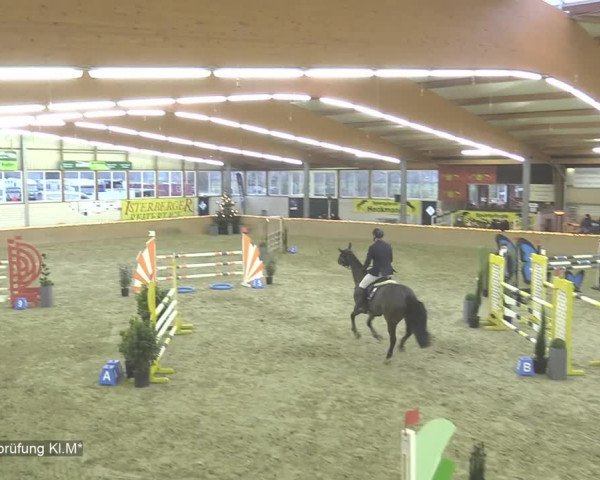 Reitturnier Isterberg 2020