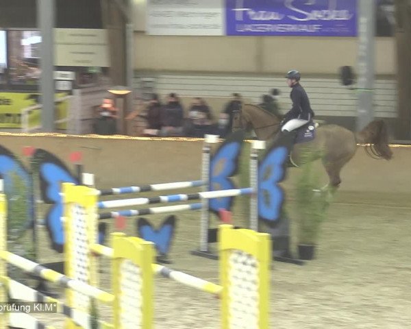 Reitturnier Isterberg 2020
