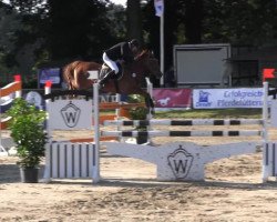 jumper Neo Lord (Polish Warmblood, 2007)
