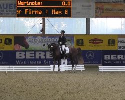 Dressurpferd Aj Don't You Forget About Me (Dänisches Reitpony, 2007, von FS Don't Worry)