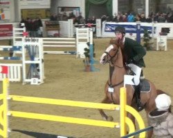 jumper Strikey (KWPN (Royal Dutch Sporthorse), 2005)