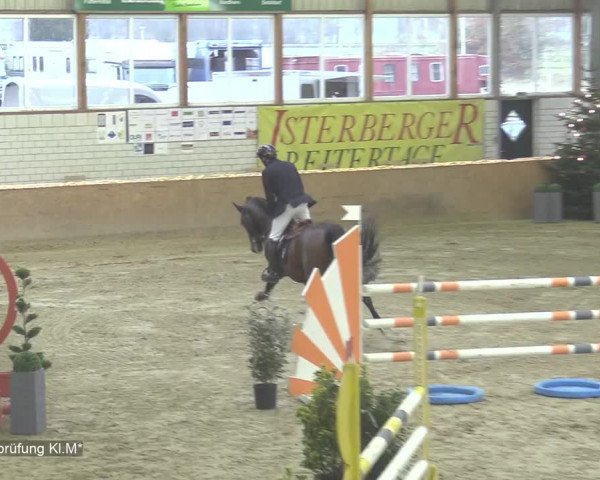 Reitturnier Isterberg 2020