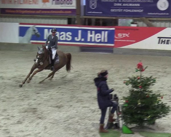 Reitturnier Negernbötel 2020, 6. Nordic Jumping event 2020/2021