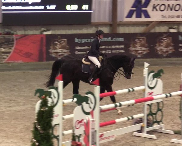 Reitturnier Negernbötel 2020, 6. Nordic Jumping event 2020/2021