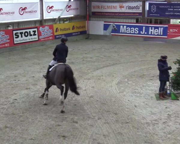 Reitturnier Negernbötel 2020, 6. Nordic Jumping event 2020/2021