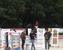 jumper Conspiritor mine (Württemberger, 2009, from Contendro I)
