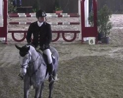 jumper Check in 10 (Holsteiner, 2008, from Cero)