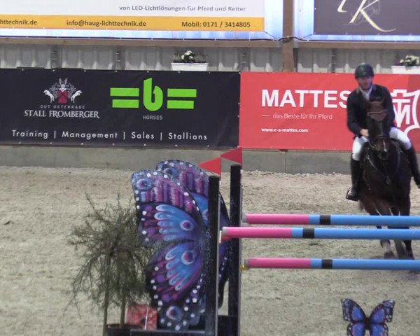 Reitturnier Negernbötel 2020, 6. Nordic Jumping event 2020/2021