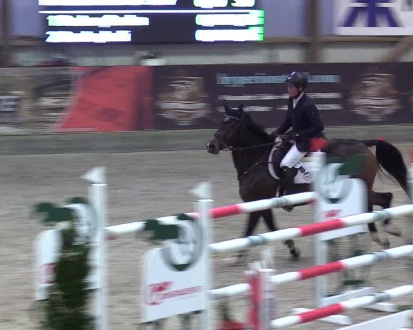 Reitturnier Negernbötel 2020, 6. Nordic Jumping event 2020/2021