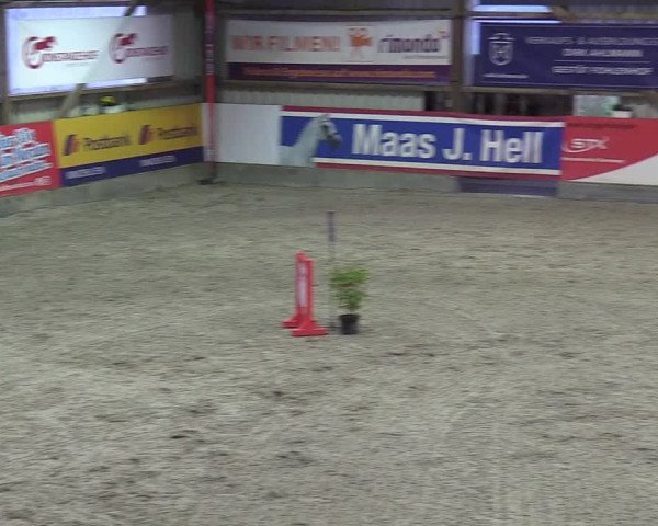 Reitturnier Negernbötel 2020, 6. Nordic Jumping event 2020/2021