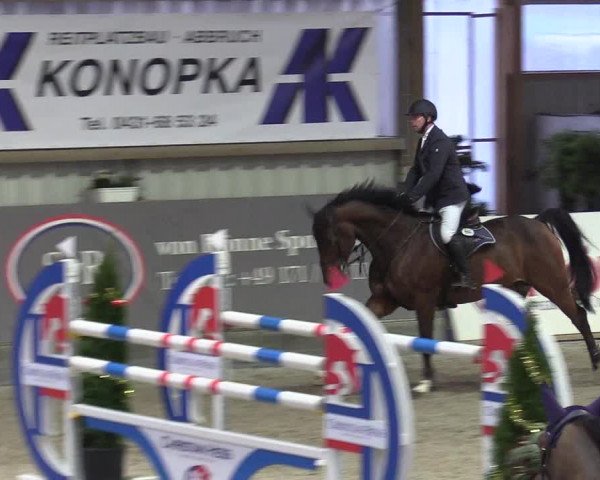 Reitturnier Negernbötel 2020, 6. Nordic Jumping event 2020/2021