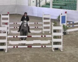 Springpferd Maja 903 (Oldenburger Springpferd, 2008, von Quite Capitol)