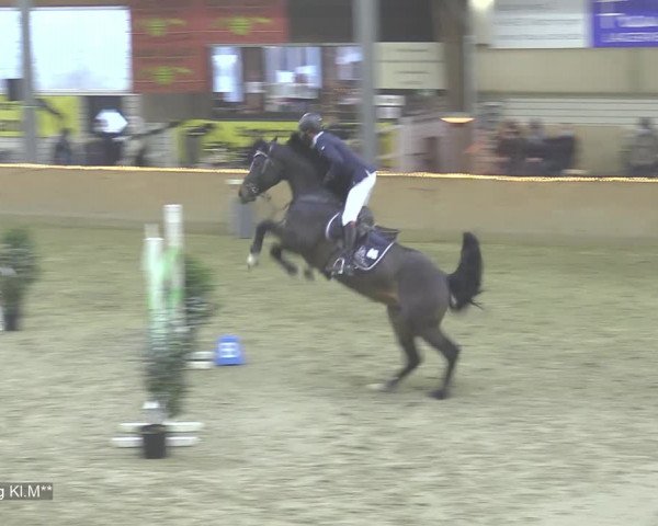 Reitturnier Isterberg 2020