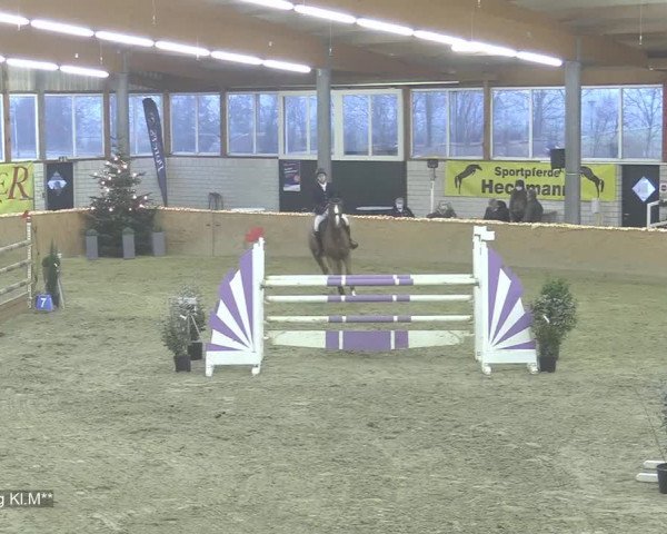 Reitturnier Isterberg 2020