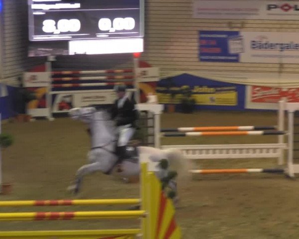 Springpferd Classic's (Holsteiner, 2006, von Claudio)