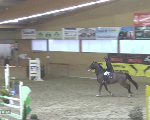 Reitturnier Isterberg 2020