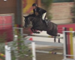 broodmare Celita 2 (Oldenburg, 2008, from Cessna)