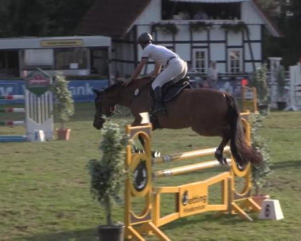 Springpferd Candy S 2 (Westfale, 2007, von Concreto 174 FIN)